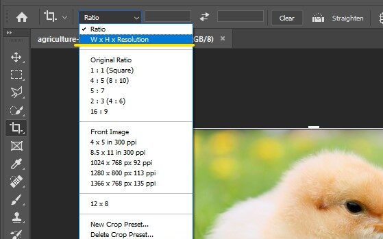 click the “Ratio” field and in the drop-down select “W x H x Resolution”